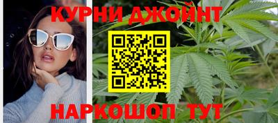 индика Новозыбков