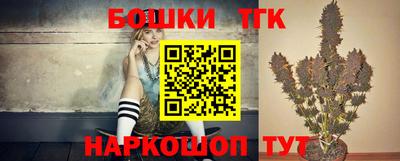 индика Новозыбков
