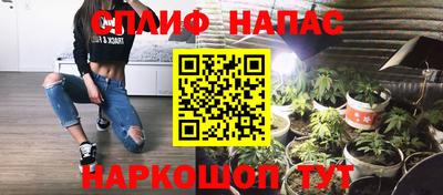 индика Новозыбков